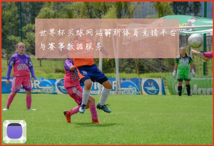 世界杯买球网站解析体育竞猜平台与赛事数据服务