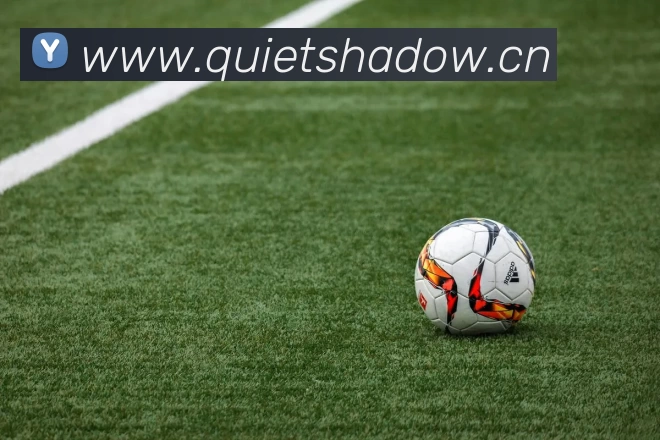 爱游戏官方网页版 - 爱游戏(中国)APP 体育赛事宣传图